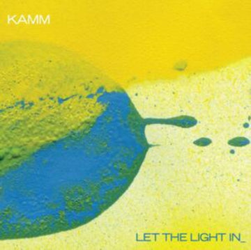 LET THE LIGHT IN | VINYL RECORD (LP)