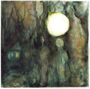DIDN'T MEAN TO HAUNT YOU (GREEN VINYL/2LP) | VINYL RECORD (LP)