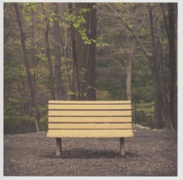 HANDS THAT THIEVE (CLEAR VINYL/REISSUE) | VINYL RECORD (LP)