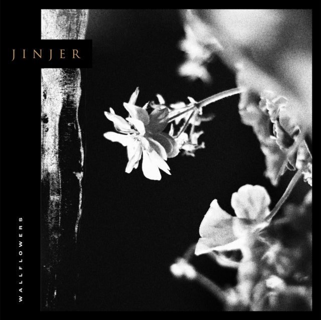 JINJER | WALLFLOWERS | CD