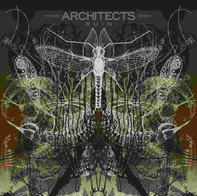ARCHITECTS | RUIN REISSUE | VINYL RECORD (LP)