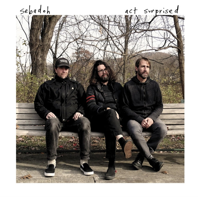 SEBADOH | ACT SURPRISED | VINYL RECORD (LP)