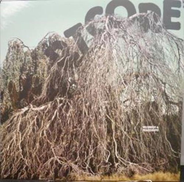 WILDBIRDS & PEACEDRUMS | HEARTCORE | VINYL RECORD (LP)
