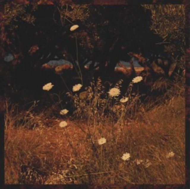 SZUN WAVES | EARTH PATTERNS | VINYL RECORD (LP)