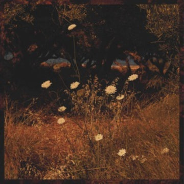 SZUN WAVES | EARTH PATTERNS | VINYL RECORD (LP)