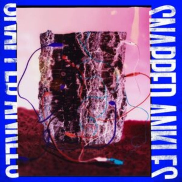 SNAPPED ANKLES | FOREST OF YOUR PROBLEMS (THE BUSINESS IMP EDITION) (DL CARD) | VINYL RECORD (LP)