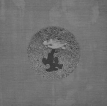 WARM GROUND | VINYL RECORD (LP)