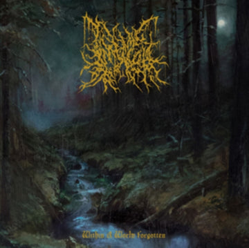 WITHIN A WORLD FORGOTTEN | VINYL RECORD (LP)