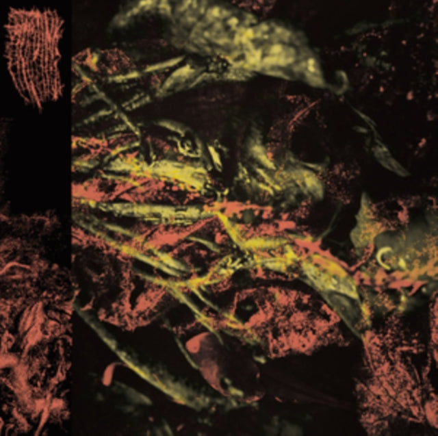 HISSING | PERMANENT DESTITUTION | VINYL RECORD (LP)