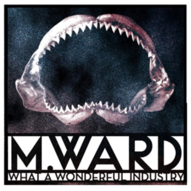 M. WARD | WHAT A WONDERFUL INDUSTRY (CLOUDY CLEAR VINYL) | VINYL RECORD (LP)