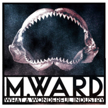 M. WARD | WHAT A WONDERFUL INDUSTRY (CLOUDY CLEAR VINYL) | VINYL RECORD (LP)