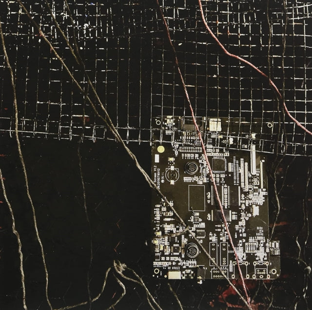 MERZBOW; PRURIENT | BLACK CROWS CYBORG | VINYL RECORD (LP)