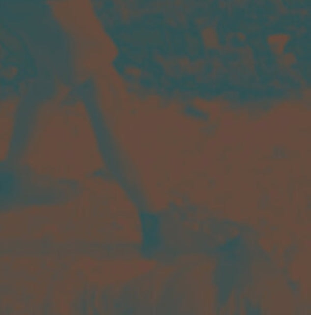 RITUAL HOWLS | RITUAL HOWLS (AMBER STONE VINYL) | VINYL RECORD (LP)