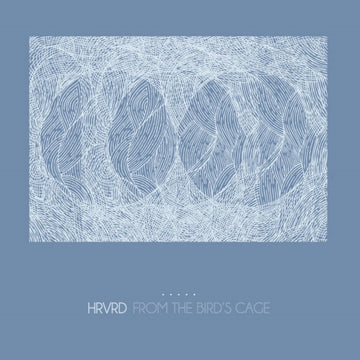 FROM THE BIRD'S CAGE (CLEAR,BABY BLUE & WHITE SPLATTER VINYL/2LP) | VINYL RECORD (LP)
