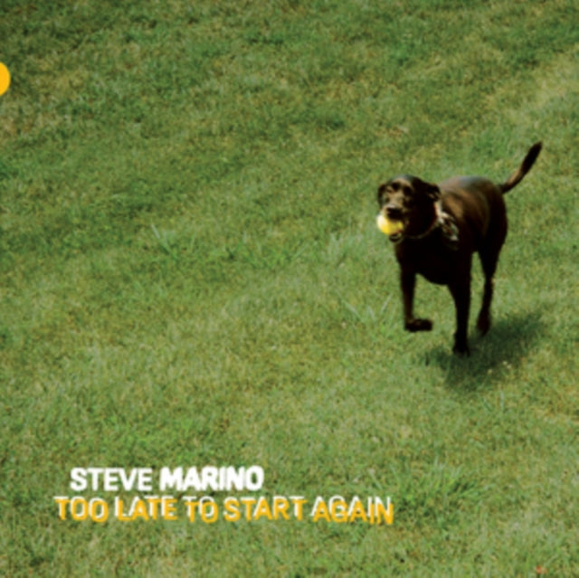 MARINO, STEVE | TOO LATE TO START AGAIN | VINYL RECORD (LP)