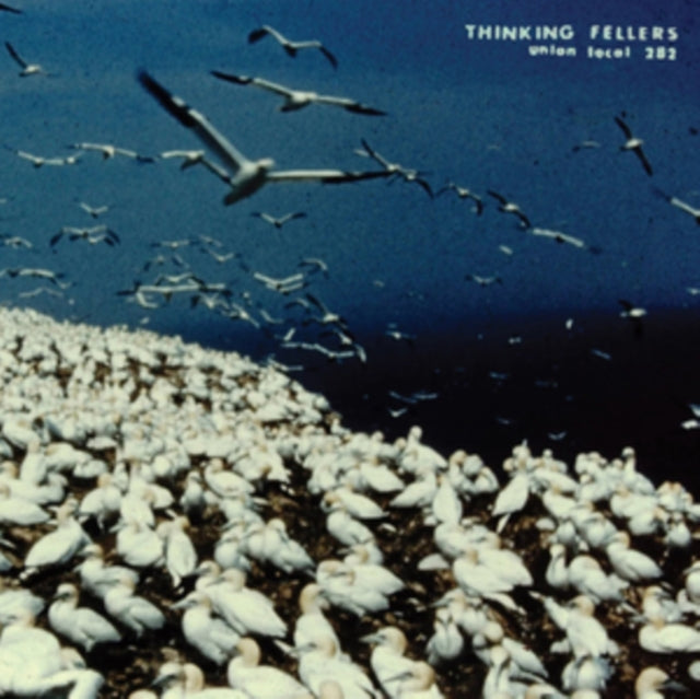 THINKING FELLERS UNION LOCAL 282 | THESE THINGS REMAIN UNASSIGNED (2LP) | VINYL RECORD (LP)