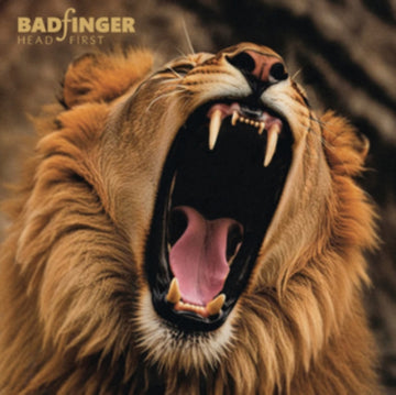 HEAD FIRST (LIMITED) | VINYL RECORD (LP)