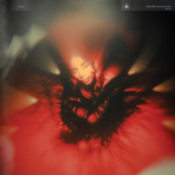 PORTRAIT OF MY HEART | VINYL RECORD (LP)