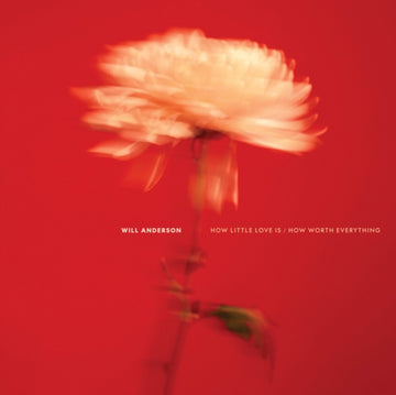 HOW LITTLE LOVE IS/HOW WORTH EVERYTHING | VINYL RECORD (LP)