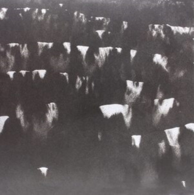 HEAVY WINGED | FIELDS WITHIN FIELDS | VINYL RECORD (LP)
