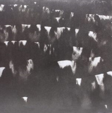 HEAVY WINGED | FIELDS WITHIN FIELDS | VINYL RECORD (LP)