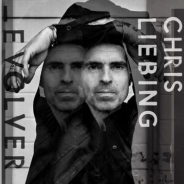 EVOLVER (2LP) | VINYL RECORD (LP)
