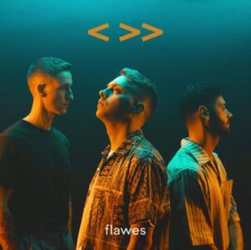 ONE STEP BACK/TWO STEPS FORWARD | VINYL RECORD (LP)