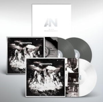 RUN (3LP/GREY & WHITE VINYL/10TH ANNIVERSARY/DELUXE EDITION) | VINYL RECORD (LP)