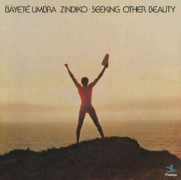 SEEKING OTHER BEAUTY (ALL-ANALOG) | VINYL RECORD (LP)