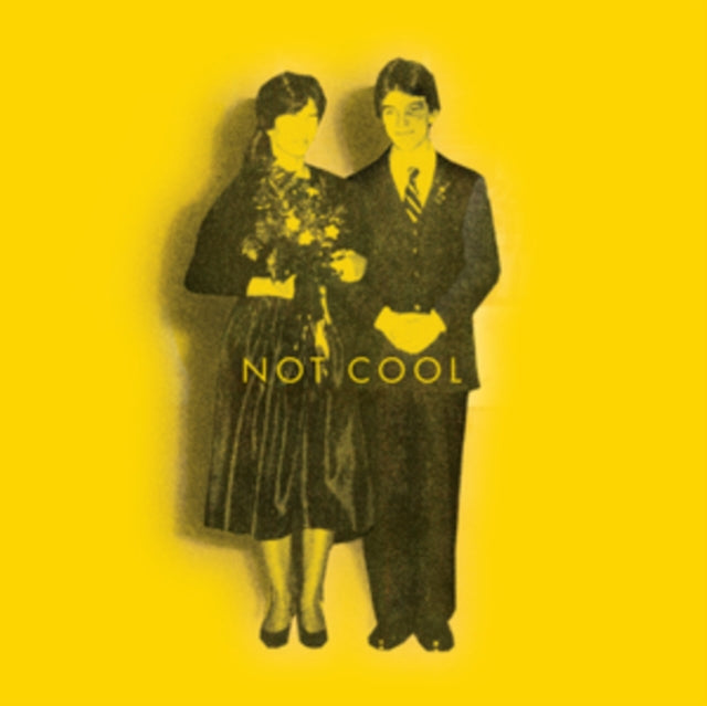EASTON, TIM | NOT COOL | VINYL RECORD (LP)
