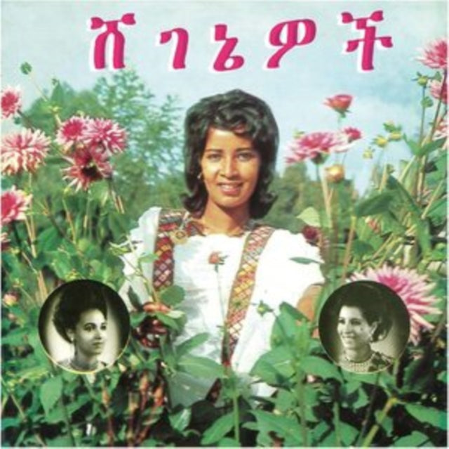 ASHINE, ASELEFECH & GETENESH KEBRET | BEAUTIES | VINYL RECORD (LP)