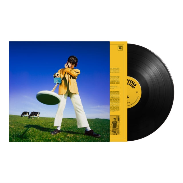 MCKENNA, DECLAN | WHAT HAPPENED TO THE BEACH? | VINYL RECORD (LP)