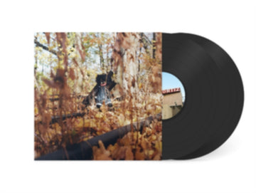 GOLLIWOG (2LP) | VINYL RECORD (LP)