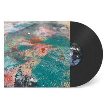 DID YOU ENJOY YOUR TIME HERE? | VINYL RECORD (LP)
