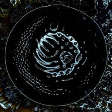 STONUS | VINYL RECORD (LP)