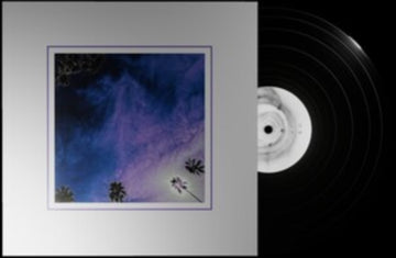LOOK OUTSIDE YOUR WINDOW | VINYL RECORD (LP)