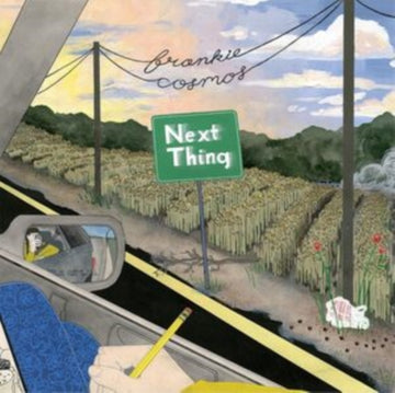 NEXT THING (10 YEAR ANNIVERSARY/FOOL'S GOLD) | VINYL RECORD (LP)