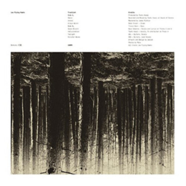 LOW FLYING HAWKS | GENKAKU | VINYL RECORD (LP)