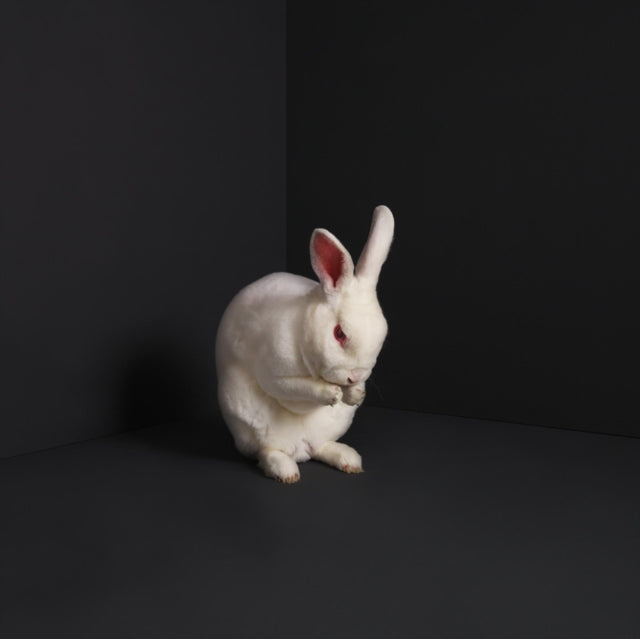 BRUME | RABBITS | VINYL RECORD (LP)