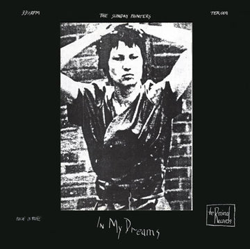 SUNDAY PAINTERS | IN MY DREAMS | VINYL RECORD (LP)