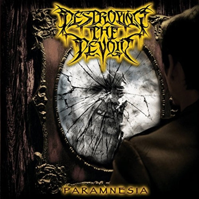 DESTROYING THE DEVOID | PARAMNESIA | VINYL RECORD (LP)