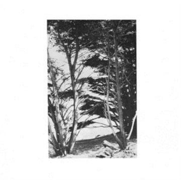 DEITRICK, RICK | GENTLE WILDERNESS (LP) | VINYL RECORD (LP)