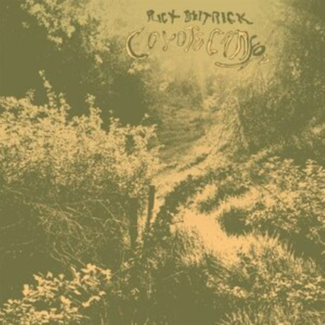 DEITRICK, RICK | COYOTE CANYON | VINYL RECORD (LP)