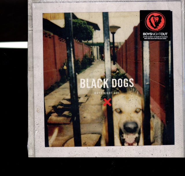 BOYS NIGHT OUT | BLACK DOGS (COKE BOTTLE CLEAR VINYL) | VINYL RECORD (LP)