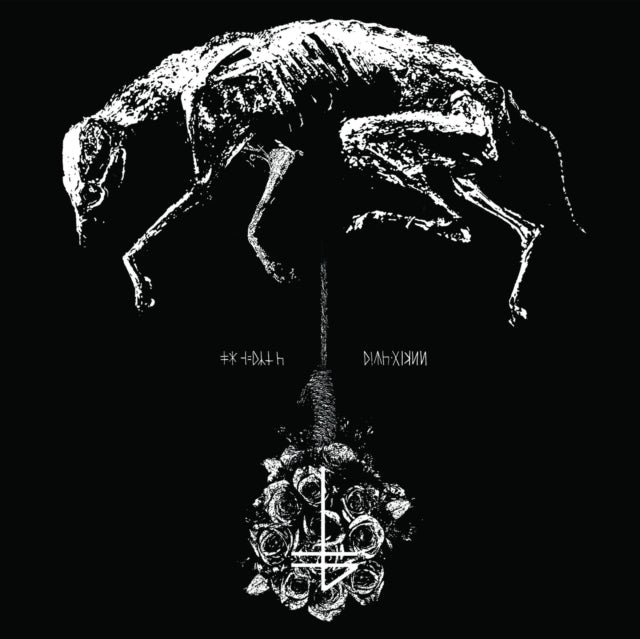 BANNER | GREYING | VINYL RECORD (LP)