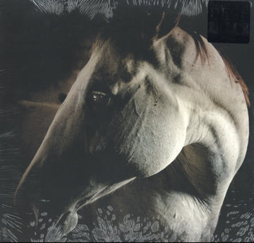 HOW TO KILL A HORSE | VINYL RECORD (LP)