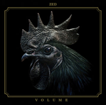 VOLUME | VINYL RECORD (LP)