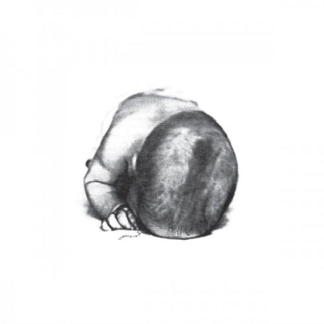 LIQUID IDIOT / IDIOT ORCHESTRA | S/T | VINYL RECORD (LP)