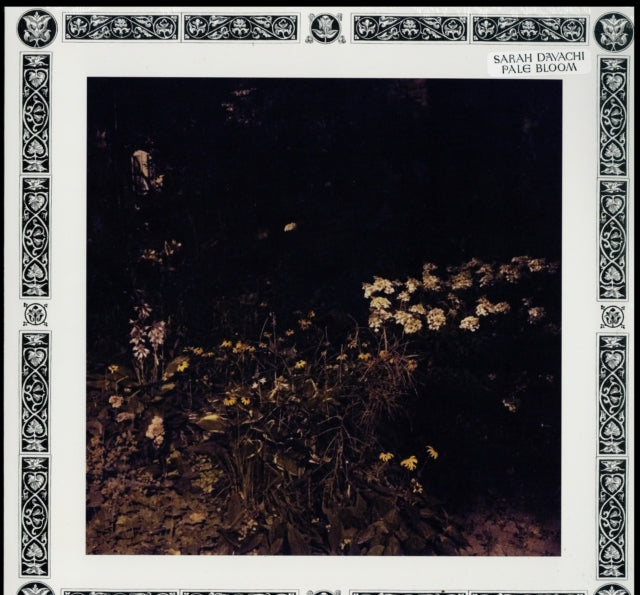 DAVACHI, SARAH | PALE BLOOM | VINYL RECORD (LP)