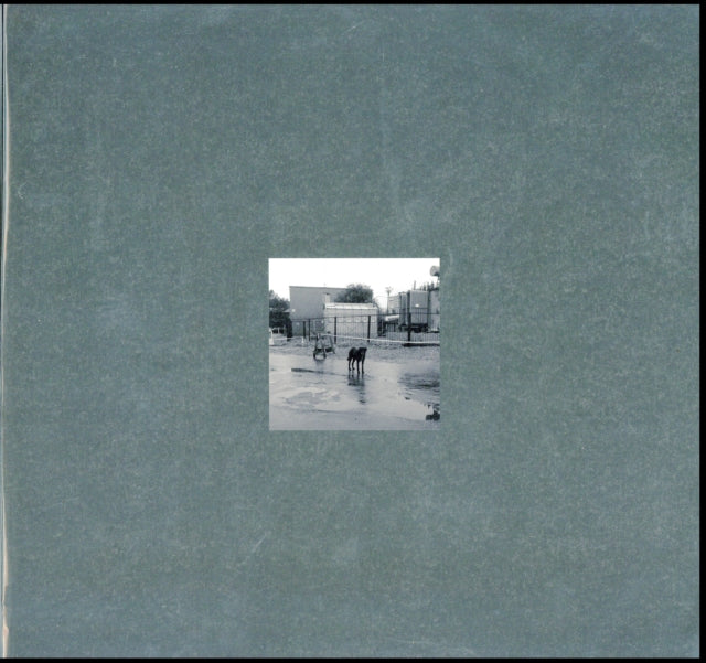 NIVHEK | AFTER ITS OWN DEATH / WALKING IN A SPIRAL TOWARDS THE HOUSE | VINYL RECORD (LP)